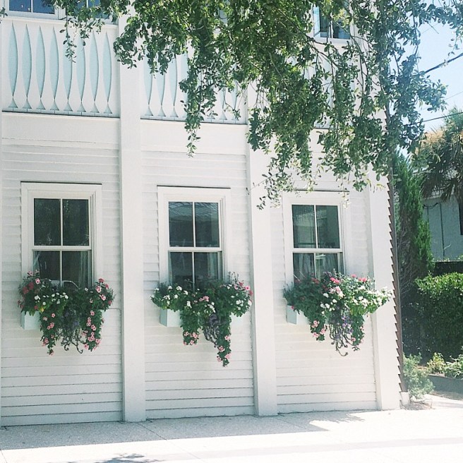 Processed with VSCO with c1 preset