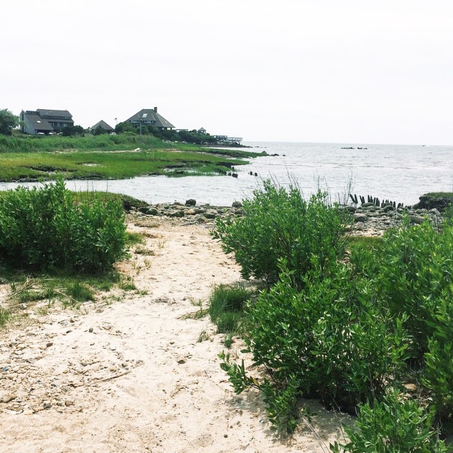 Processed with VSCO with c1 preset