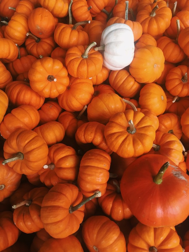 Processed with VSCO with c1 preset