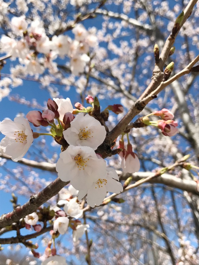 Processed with VSCO with a6 preset