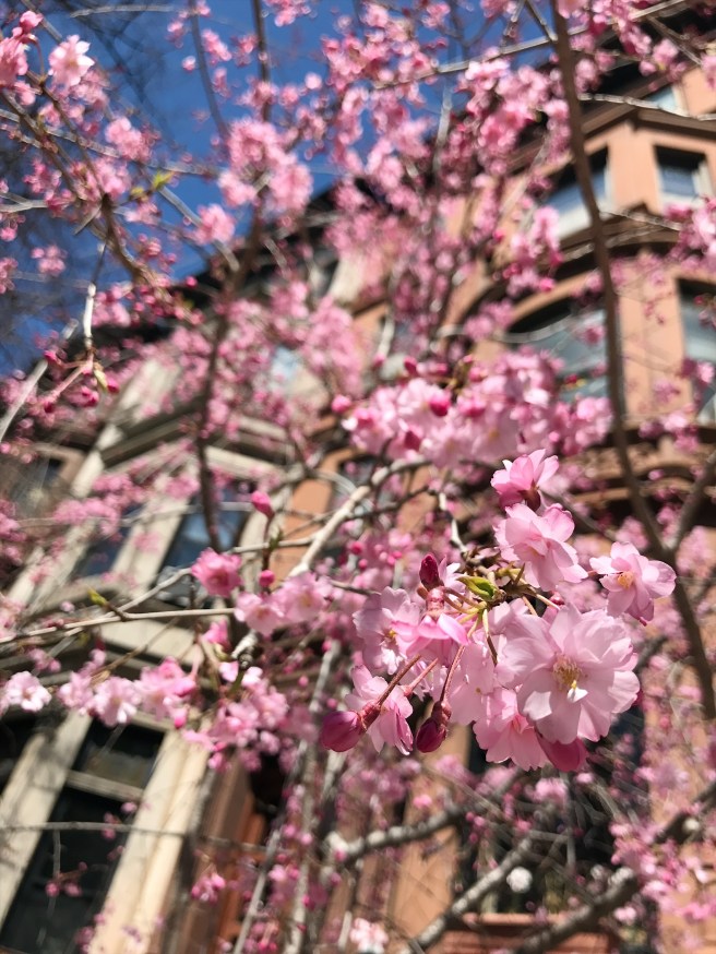 Processed with VSCO with a6 preset