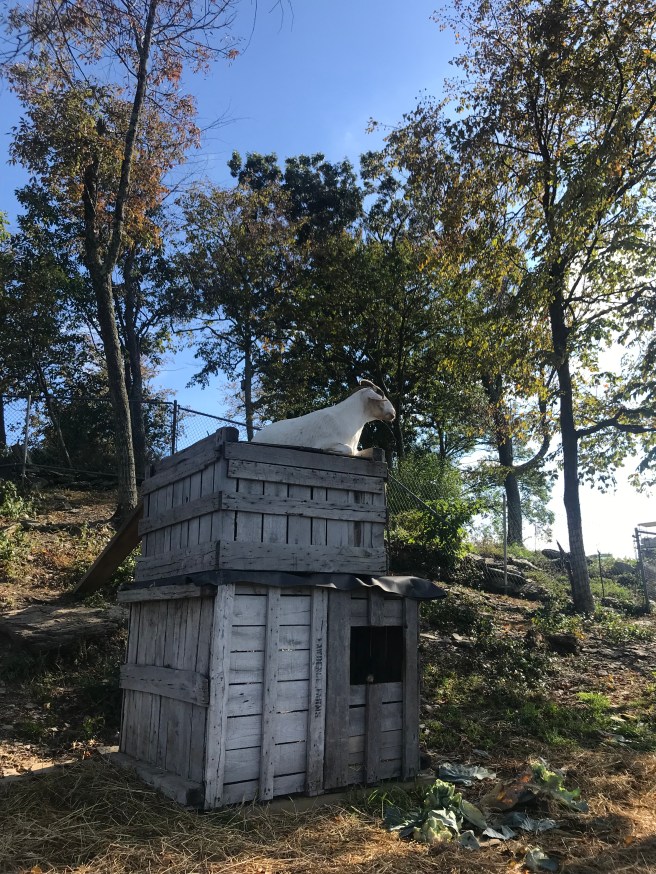 1C32F185-71A3-4F6A-A61A-A7E6444E67DA