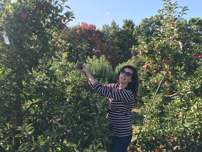 7EB324ED-D3AA-4B5F-B096-E71DA14F49DF