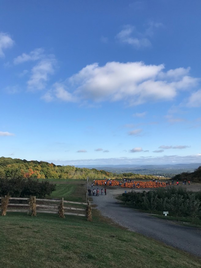 8AA60041-2C0B-4C41-951F-2513617F09F8