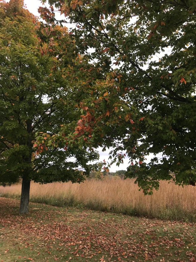 DE499E8C-5462-494B-8A85-7F7ECD31A355