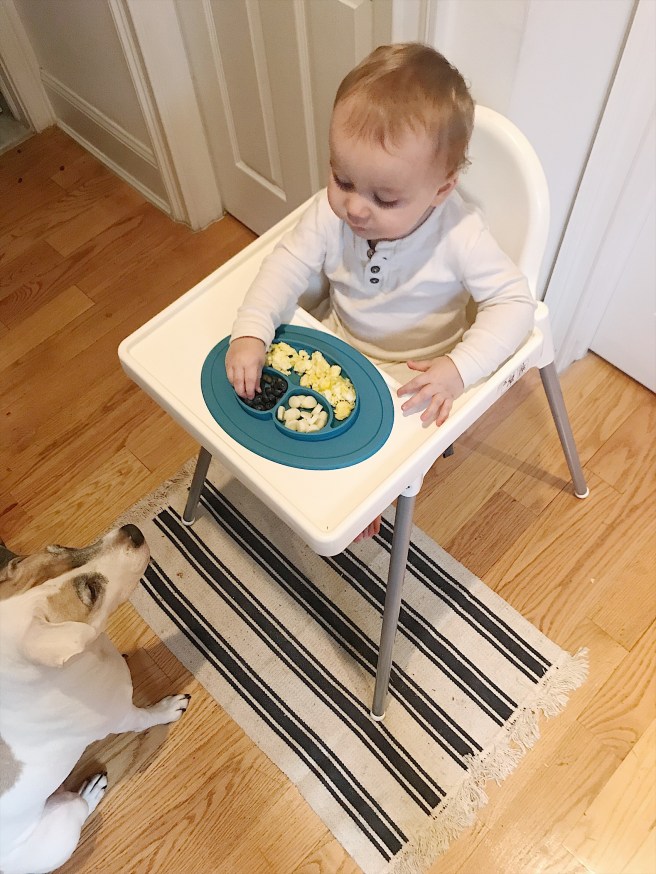 14F45F3E-568E-4563-88C1-51CFAD03474B