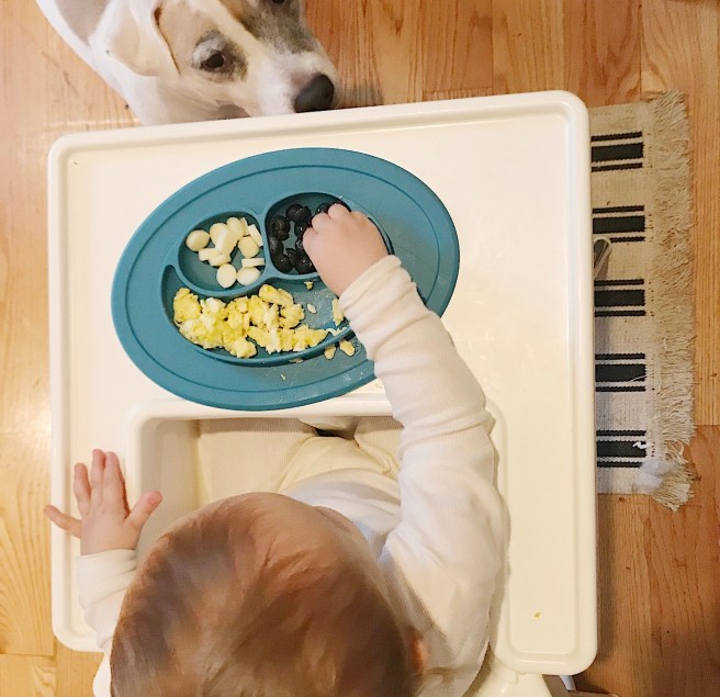 7BDCD962-EE66-4C85-B3D4-37C1158AAD8D