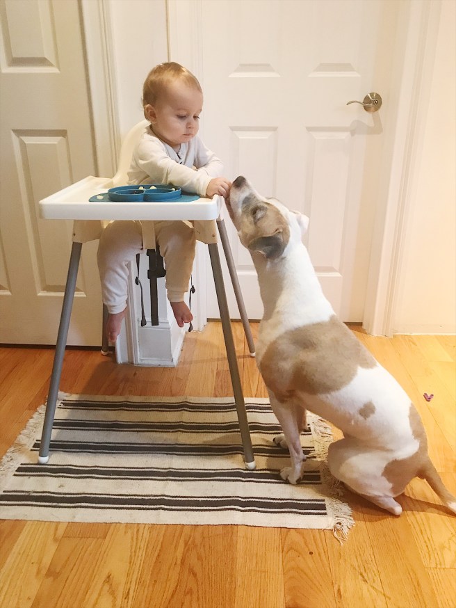 DA43635E-F238-444E-8D98-A32E3FA25947