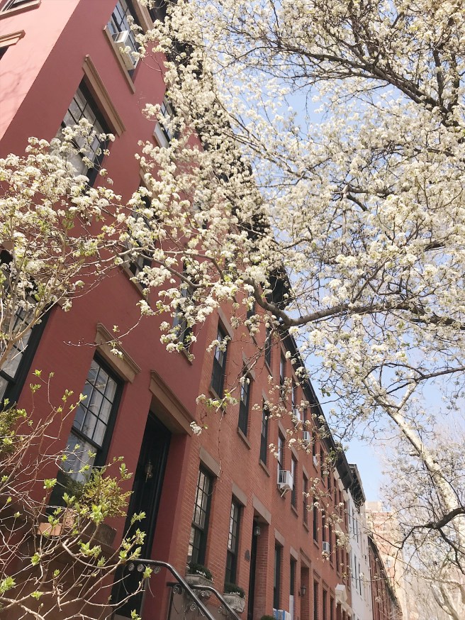 Processed with VSCO with a6 preset