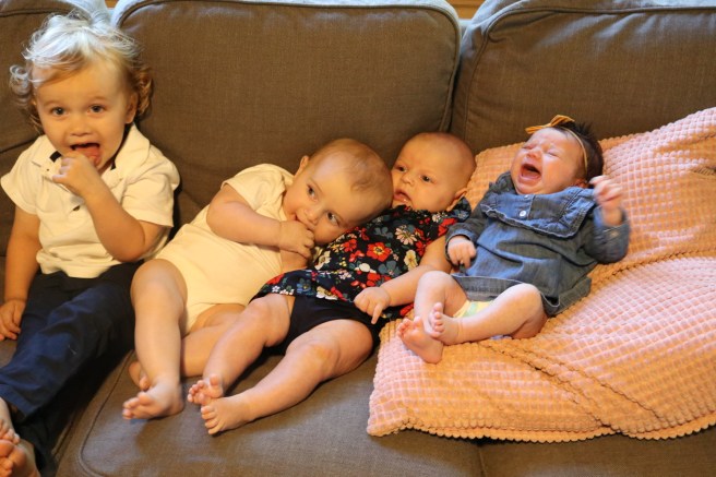 BBC180B6-9D0C-4F37-8D24-C61B10A27D6D