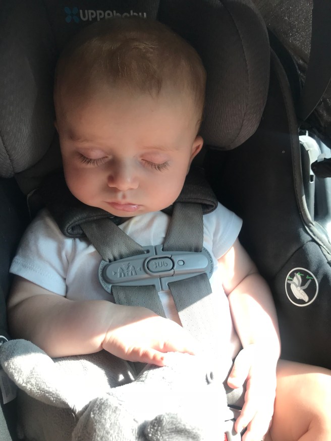 9573E01E-6CF1-4344-8423-5EB91BFE28D5