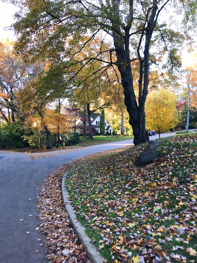 Processed with VSCO with a5 preset